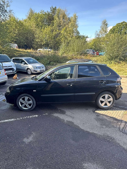 Seat Ibiza Sport 2007