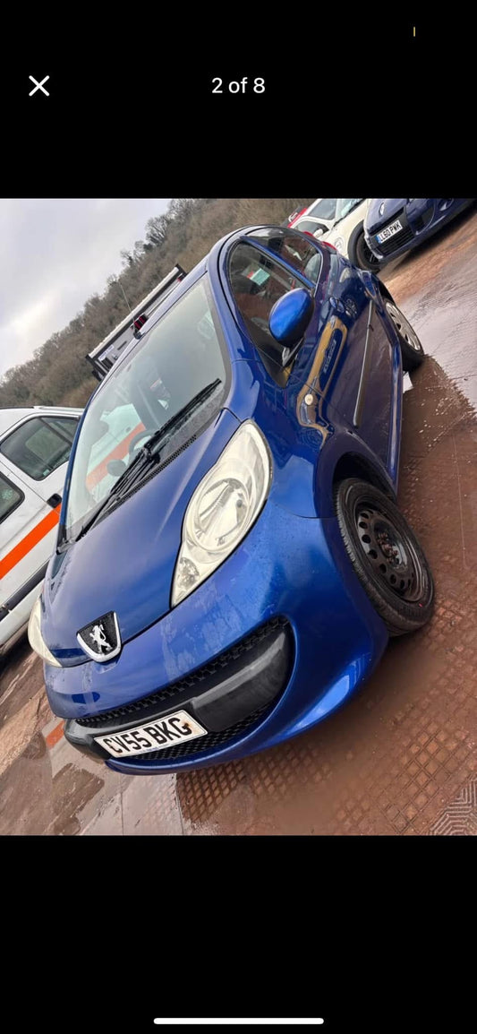 Peugeot 1L
